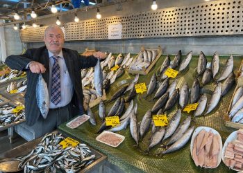 Balıkçıları Palamut Kurtardı