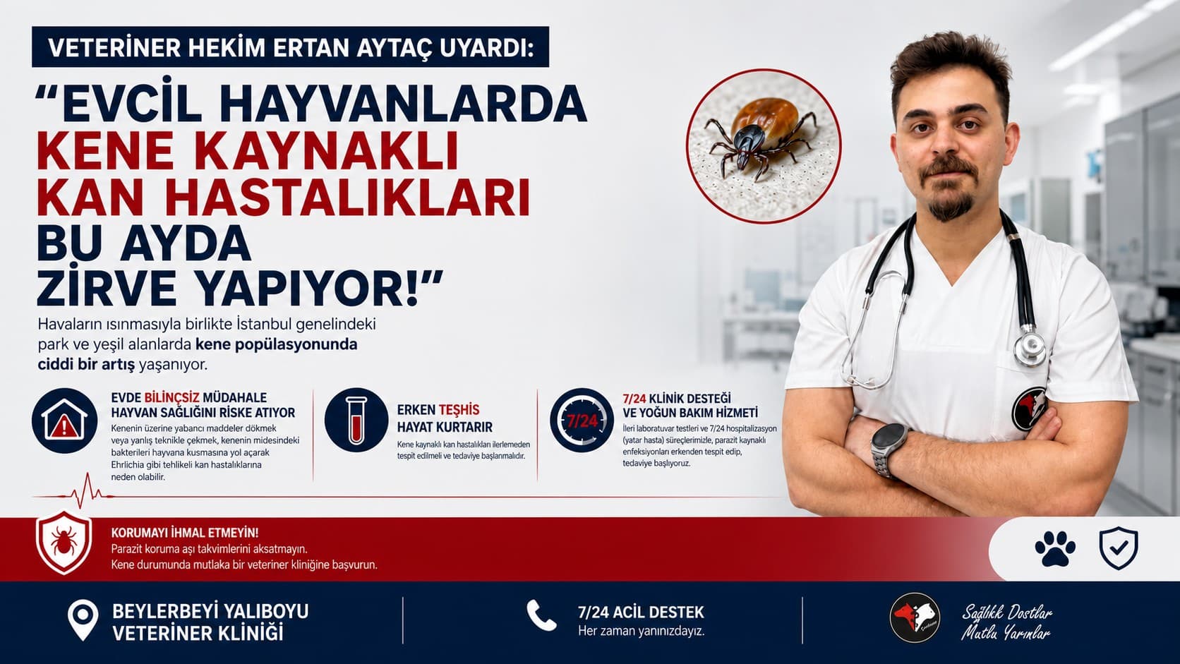 Evcil Hayvanlarda Kene Kaynaklı Tehlikeler: Uzman Veteriner Hekim Ertan Aytaç’tan Kritik Uyarılar